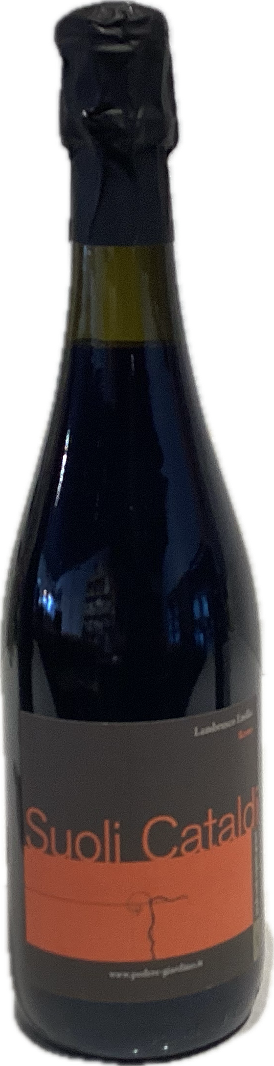 Podere Giardino Lambrusco Emilia Suoli Cataldi 2024