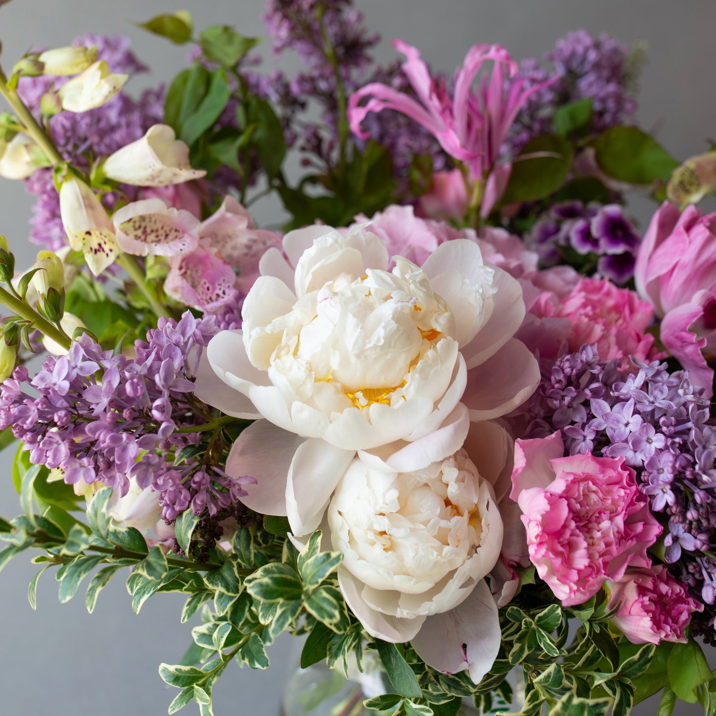Lilac Garden