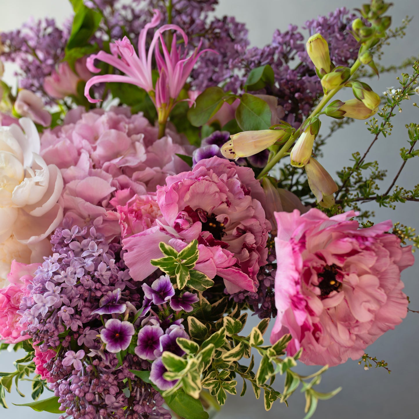 Lilac Garden