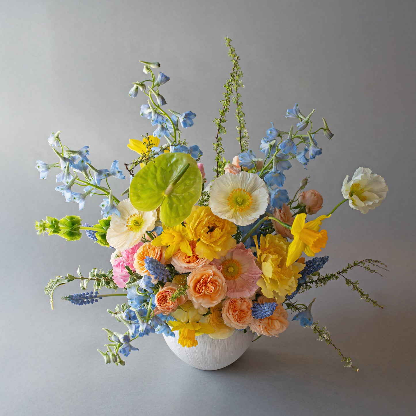 Spring serenade
