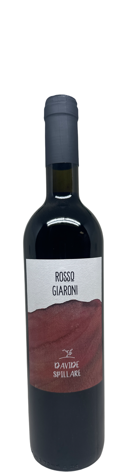 Davide Spillare Rosso Giaroni Merlot 2021