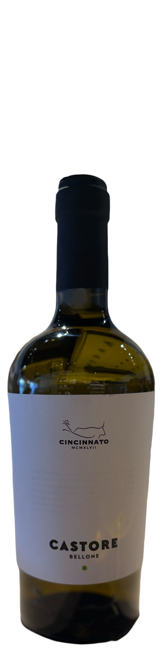 Cincinnato Bellone Castore 2024